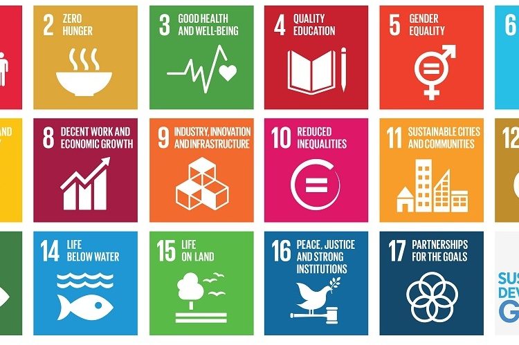 UN Sustainability Goals