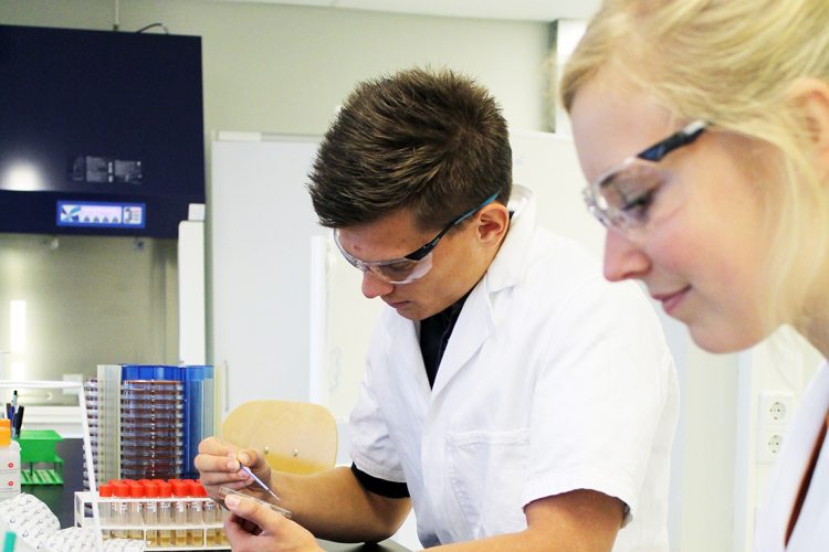 Studenten aan het werk in het lab